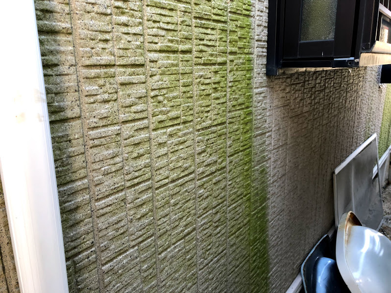 屋根外壁塗装の目安となる劣化の症状例～藻やカビの発生～